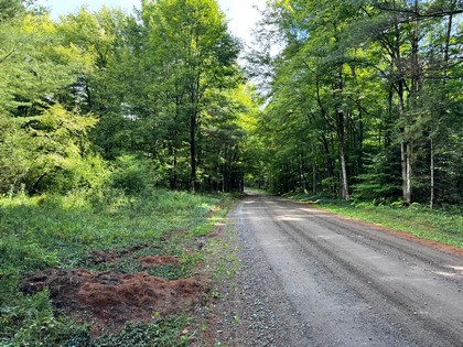 NY Adirondack land for sale