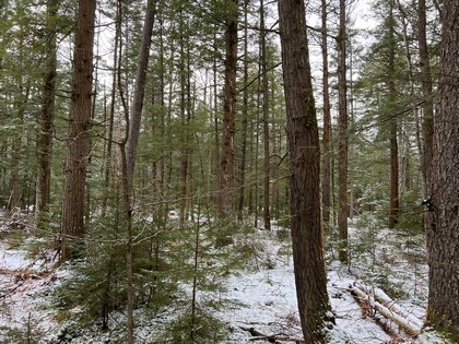 NY land for sale near Oneida Lake NY