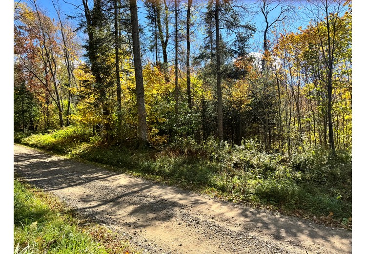 Tug Hill NY land for sale