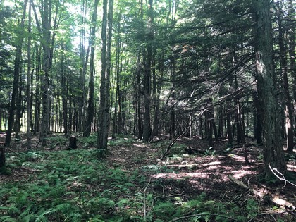 NY land for sale in Chenango County