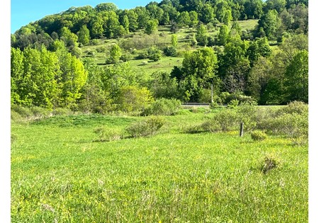 NY Southern Tier land for sale