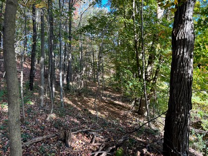 Southern Tier NY land for sale 