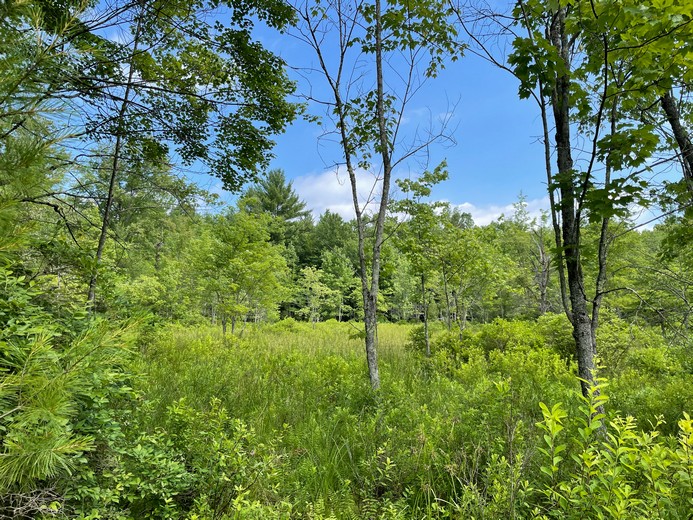 NY Land and Camps for Sale by Christmas & Associates- NY Hunting Land