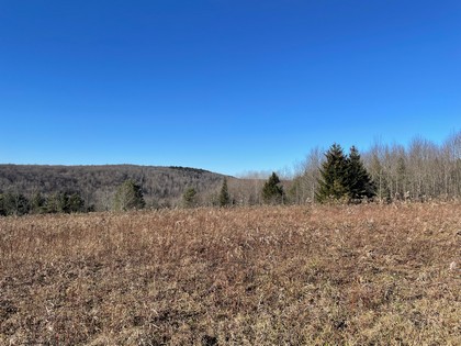 NY land sale southern tier