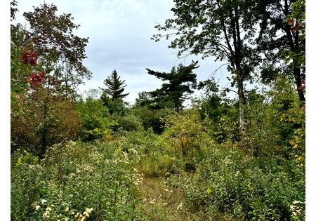 NY hunting land for sale
