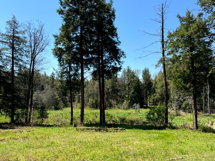 NY camps for sale