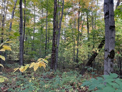 NY snowmobile land for sale