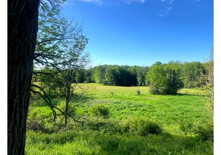 NY southern tier hunting land for sale