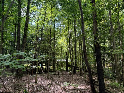 NY camps for sale