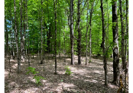 Upstate NY land for sale
