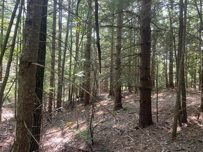 NY building lot land for sale