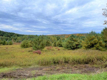 Catksill area NY land for sale