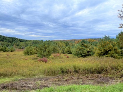 Catksill area NY land for sale