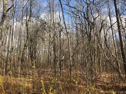 NY hunting land for sale Pharsalia NY