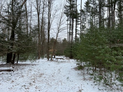 NY land for sale near Oneida Lake NY