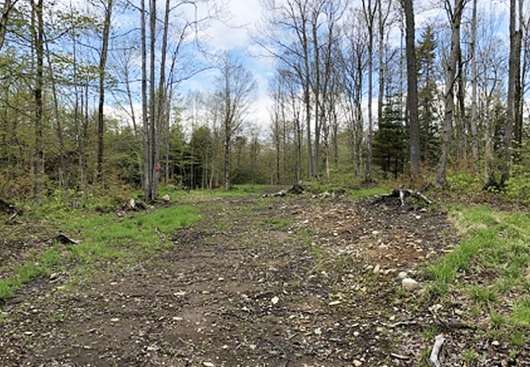 Land for Sale Lewis County NY Kirk Road Woods NY Land for Sale