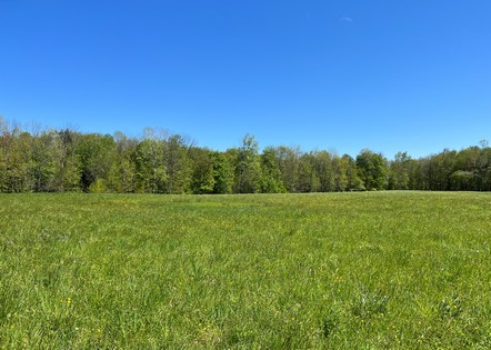 NY land for sale