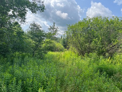 Southern tier NY land for sale