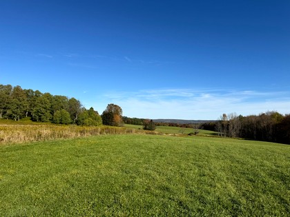 NY Southern Tier hunting land for sale