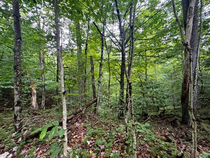 Adirondack land for sale NY