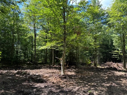 NY camps for sale