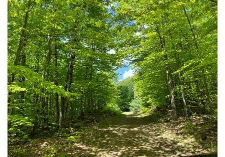 Adirondack land for sale