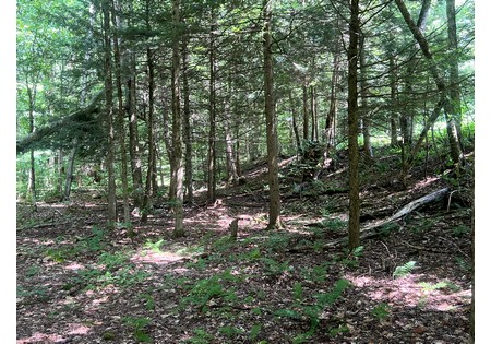 NY cabins for sale