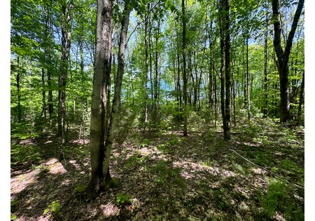 NY land for sale 