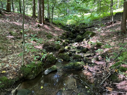 NY snowmobiling land for sale, land and snowmobile camps, ny properties, christmas associates