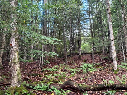 Adirondack land and waterfront for sale