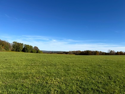 NY Southern tier NY hunting land for sale
