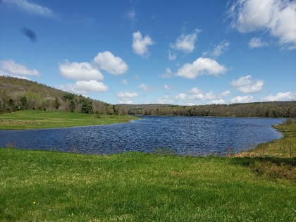 NY lakefront land for sale in Marathon NY