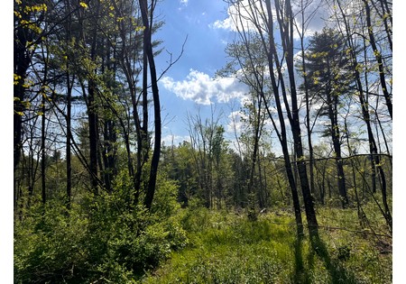 NY land for sale in Tug Hill area
