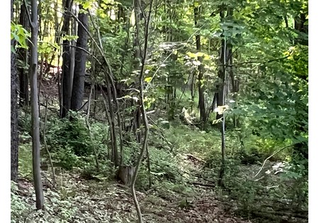 Southern Tier NY land for sale 