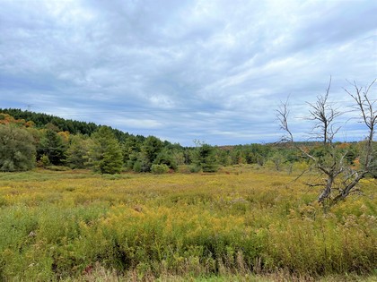 NY land for sale Catskills area