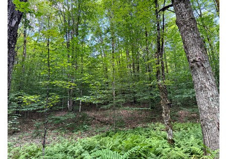 NY cabins for sale