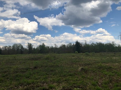 NY hunting land - Adirondacks