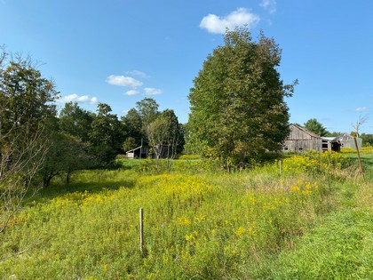 NY hunting land for sale McDonough NY