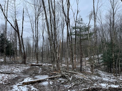 NY hunting land for sale