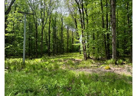 Upstate NY land for sale