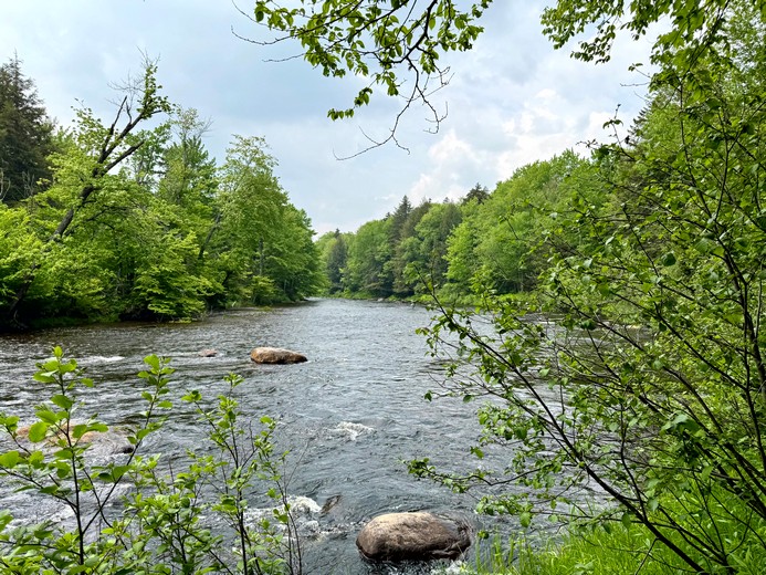Adirondack waterfront land for sale NY