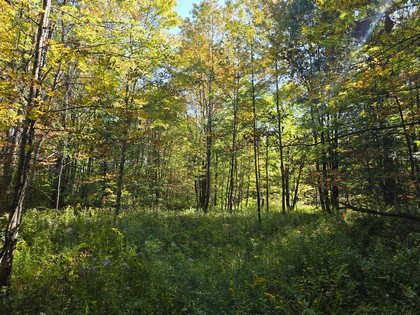 Adirondack NY land for sale