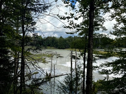 NY Adirondack land for sale