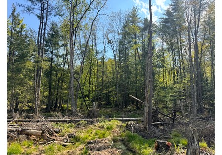 NY land for sale in Tug Hill area