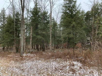 Adirondack NY land for sale in Diana NY