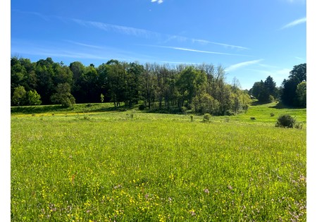 NY Southern Tier land for sale