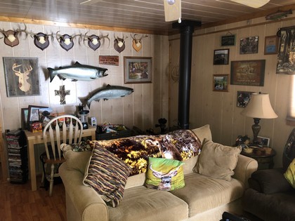 NY cabin for sale southern tier, NY