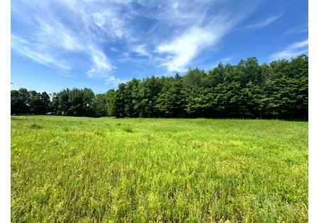 Salmon River NY land for sale