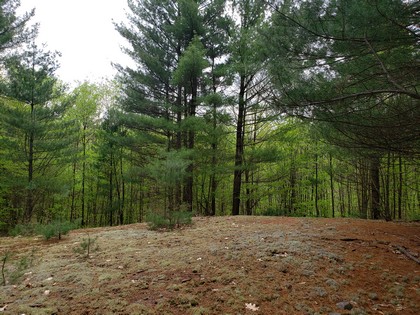 Land and camp for sale Lewis County NY