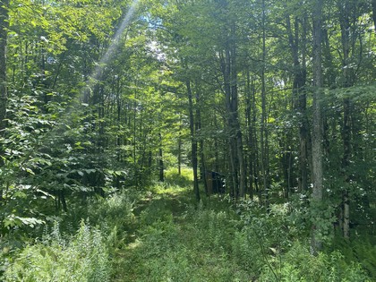 NY camps for sale